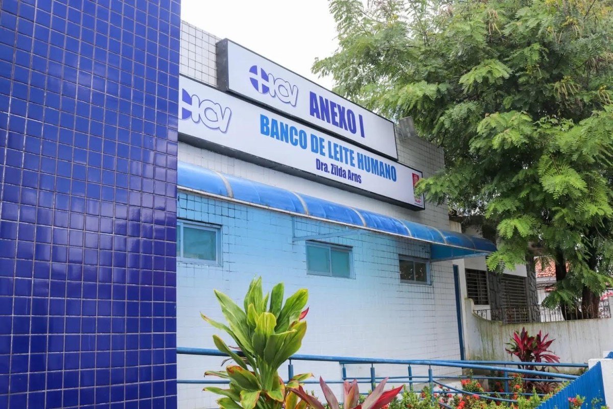 Banco de Leite do ICV promove curso sobre apoio à alimentação de prematuros