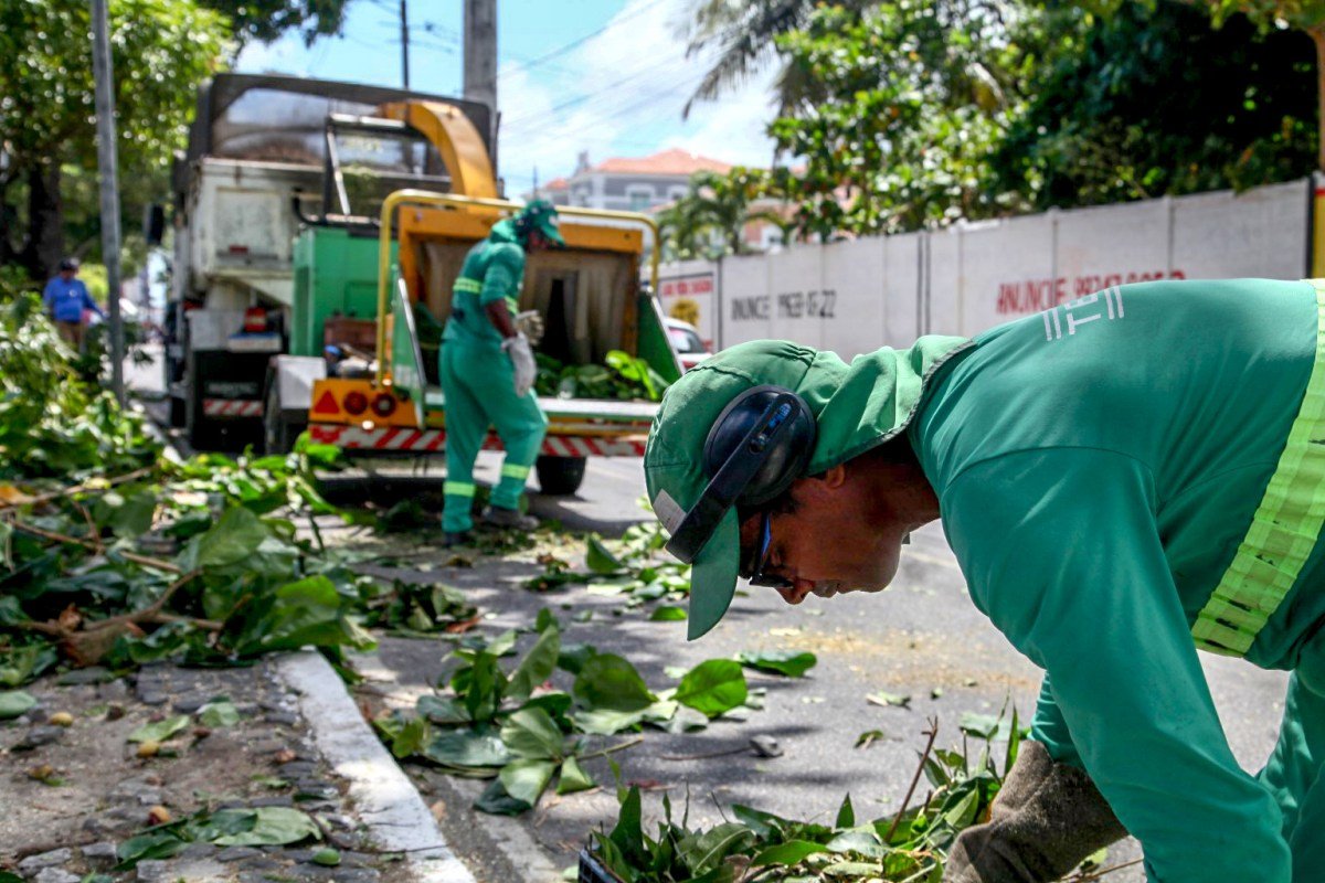Coleta de resíduos de poda de árvores atende demanda de 11 bairros