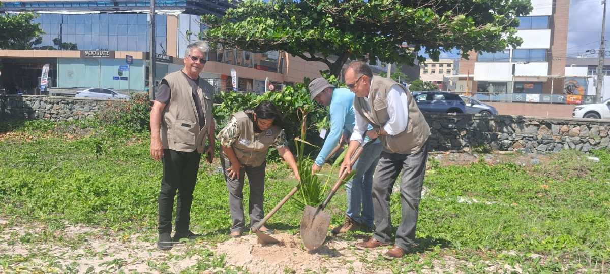 Secretaria de Meio Ambiente realiza plantio de coqueiros na Praia de Manaíra