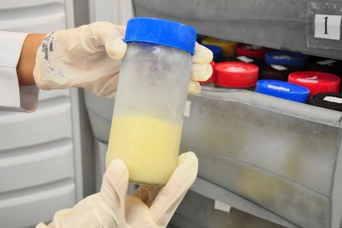 Banco de Leite do Instituto Cândida Vargas incentiva doação no Mês da Mulher