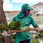 Coleta de resíduos de poda de árvores atende demandas de 14 bairros