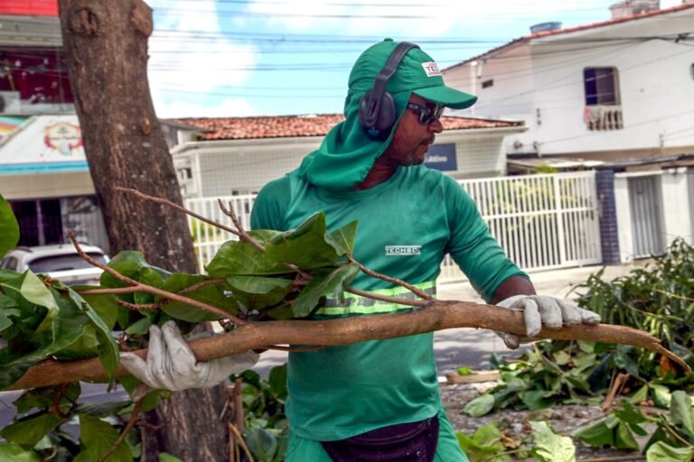 Coleta de resíduos de poda de árvores atende demandas de 14 bairros