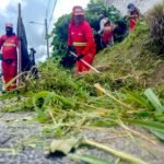 Emlur atende demandas de 16 bairros com coleta de resíduos de poda de árvores