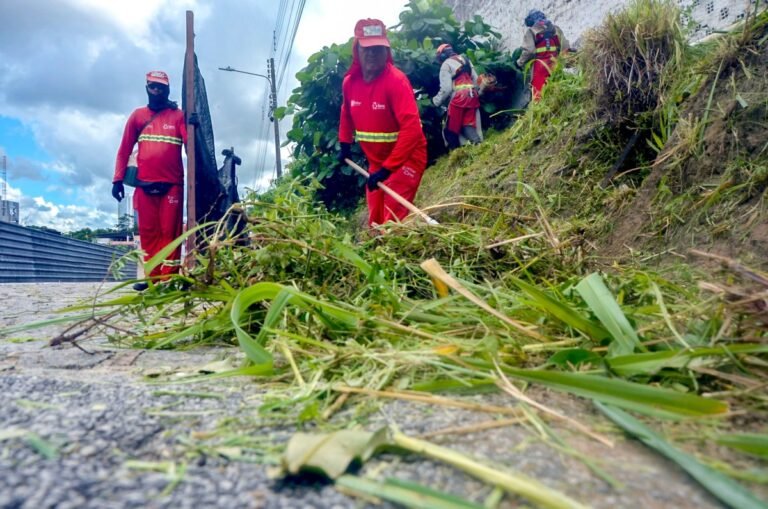 Emlur atende demandas de 16 bairros com coleta de resíduos de poda de árvores