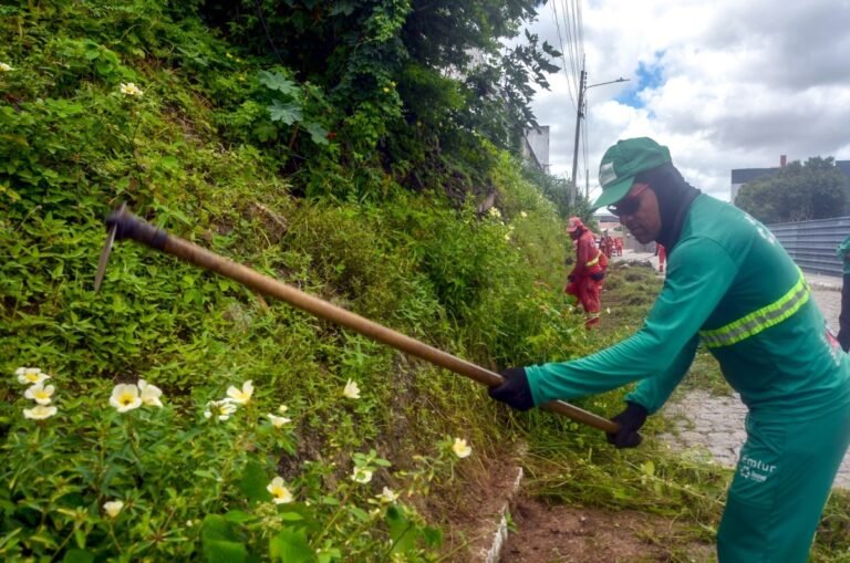 Emlur executa ações de zeladoria em 19 bairros da cidade ao longo da semana