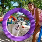 Prefeitura disponibiliza 20 ‘Espaços Pet’ e planeja instalar em mais 13 praças públicas da Capital