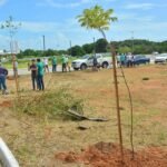 Programa ‘João Pessoa + Verde’ terá parceria com TRT-13 e vai recuperar áreas degradadas