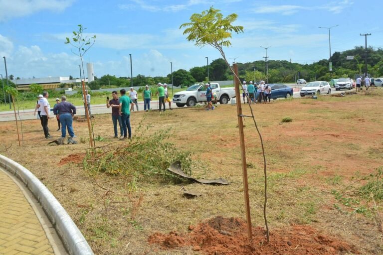 Programa ‘João Pessoa + Verde’ terá parceria com TRT-13 e vai recuperar áreas degradadas