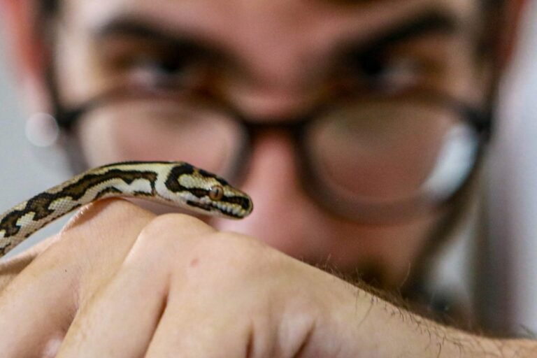 Uma escola de preservação ambiental a céu aberto em João Pessoa