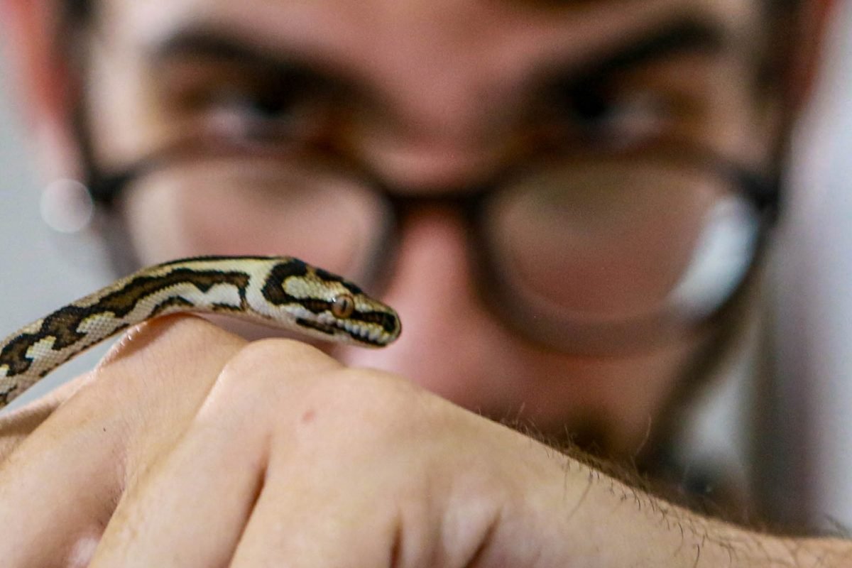 Uma escola de preservação ambiental a céu aberto em João Pessoa
