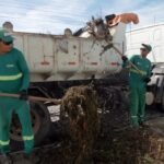 Emlur atende demandas de 14 bairros com recolhimento de resíduos diversificados