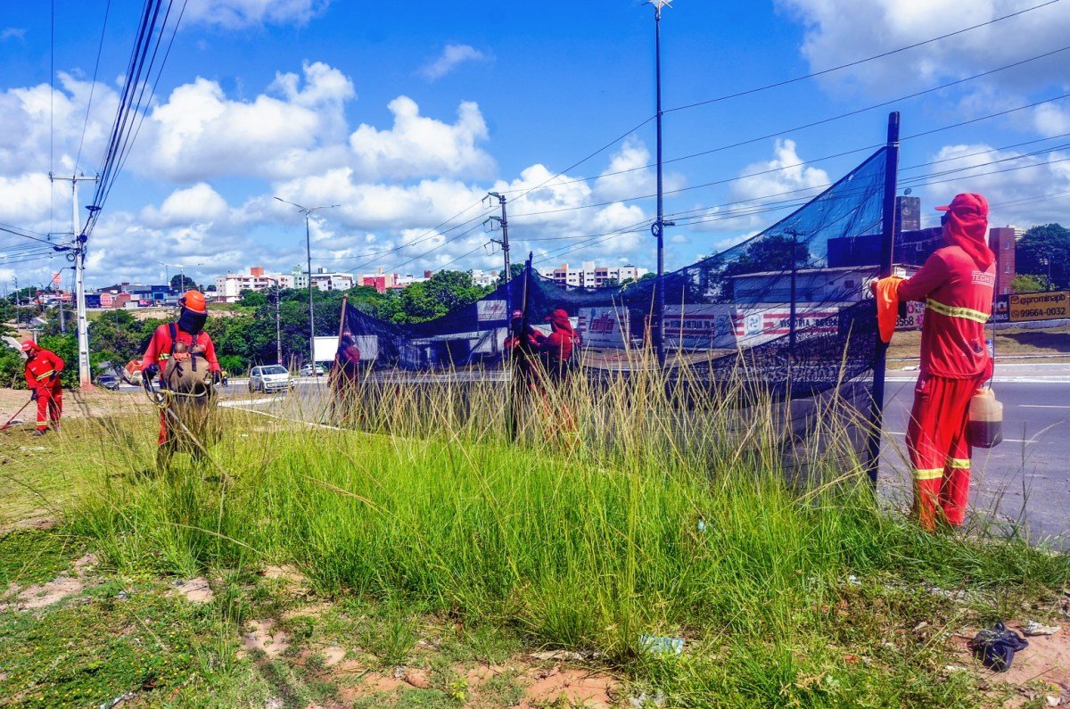 Emlur executa serviços de limpeza e coleta de poda e entulhos em mais de 30 localidades