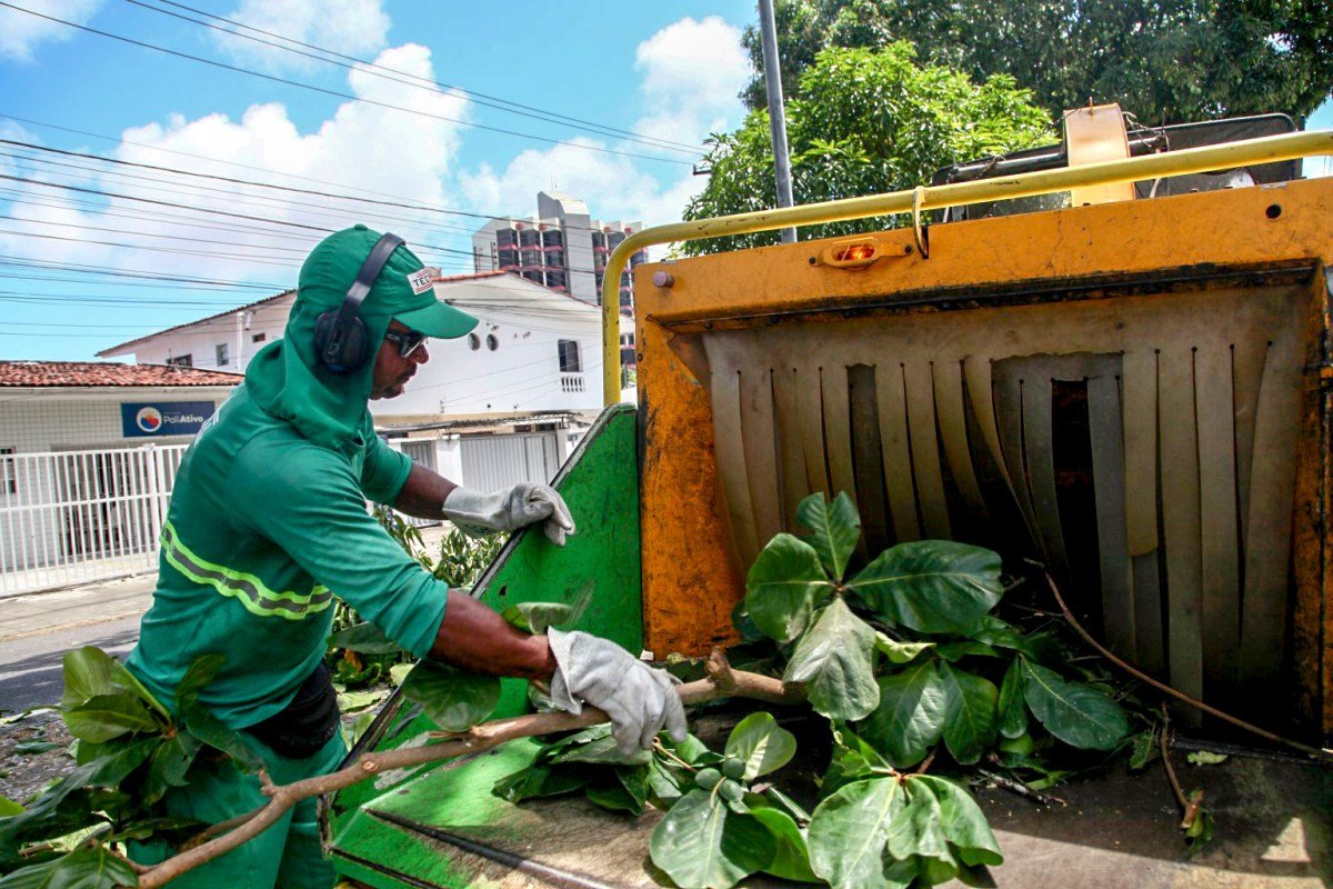 Emlur recolhe resíduos de poda de árvores em 15 bairros nesta quarta-feira