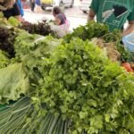 Feira da Agricultura Familiar estará nesta terça-feira na Praça do Coqueiral, em Mangabeira