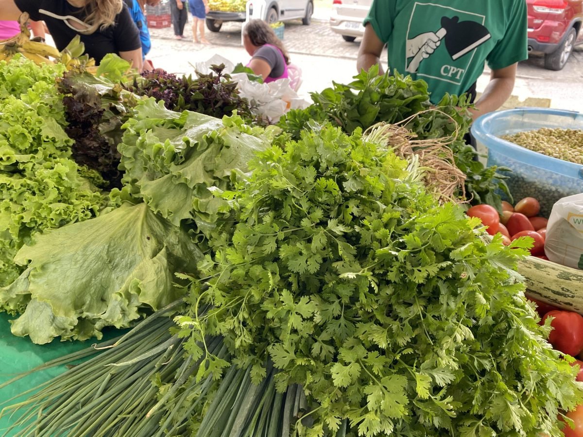 Feira da Agricultura Familiar estará nesta terça-feira na Praça do Coqueiral, em Mangabeira