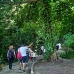 Parque Arruda Câmara é opção acessível e agradável para curtir o feriado prolongado