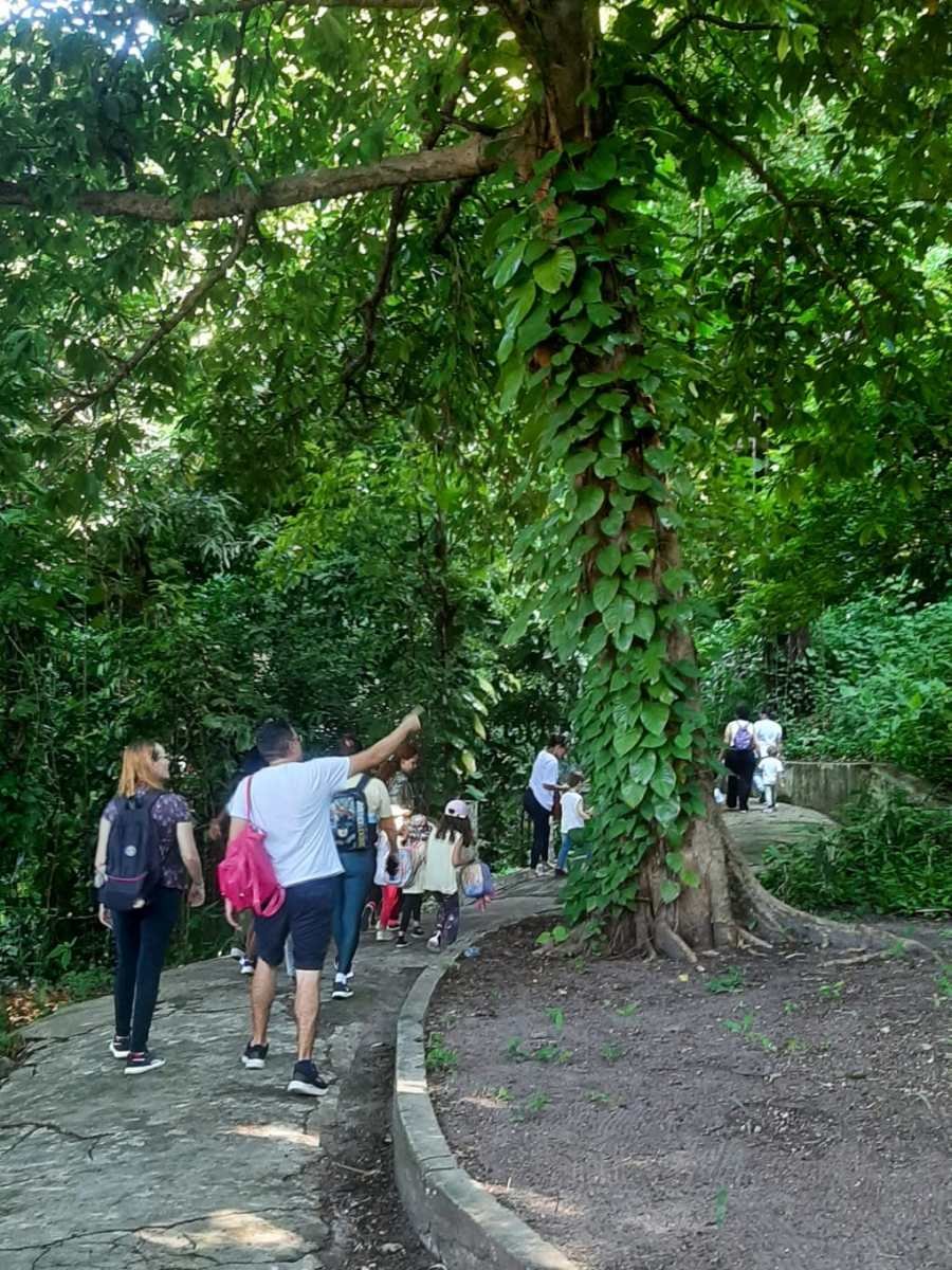 Parque Arruda Câmara é opção acessível e agradável para curtir o feriado prolongado