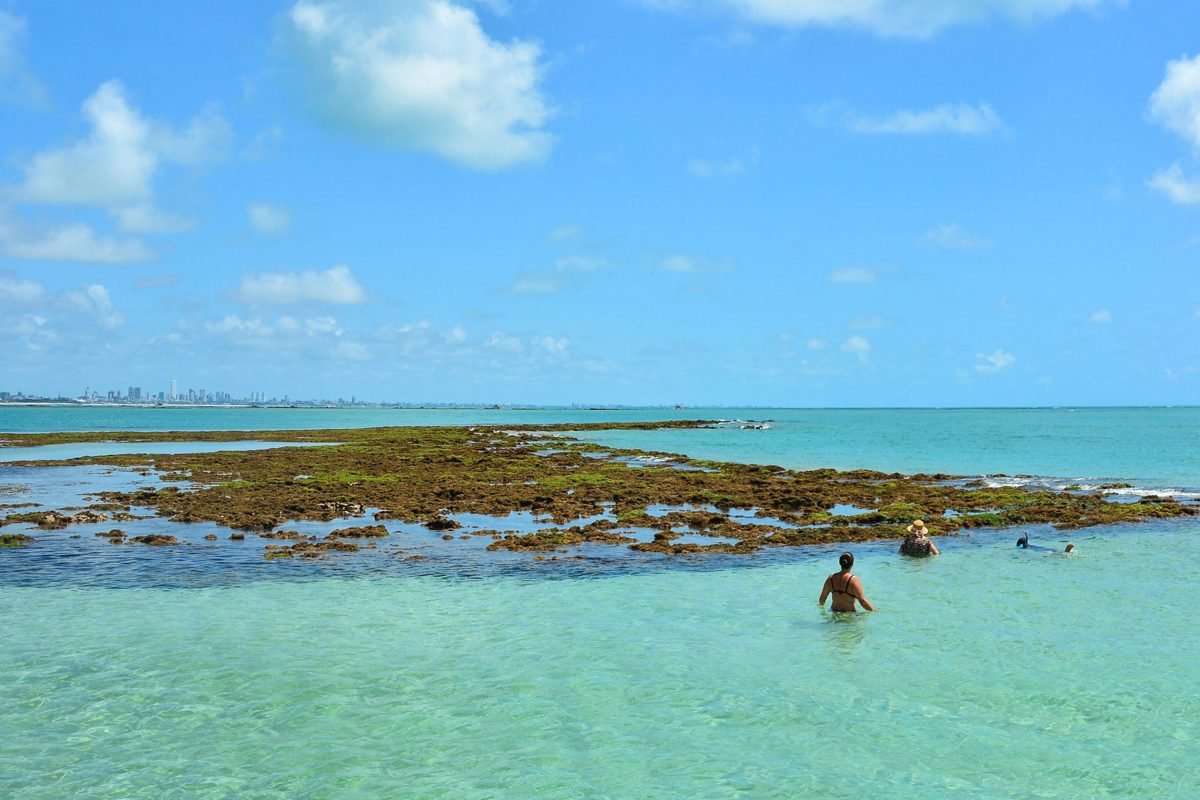 Prefeitura oferece curso de boas práticas de venda para o mergulho para guias, bugueiros e receptivos