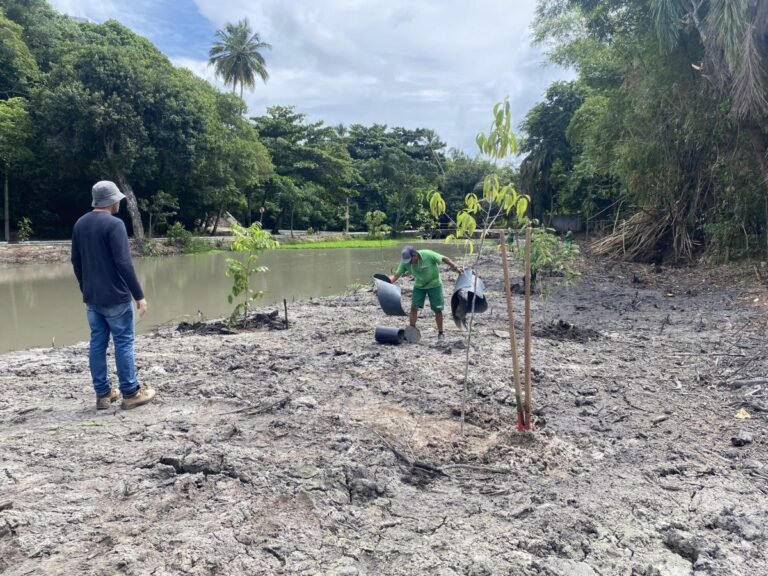 Semam realiza recomposição da vegetação da mata ciliar do Rio Cabelo