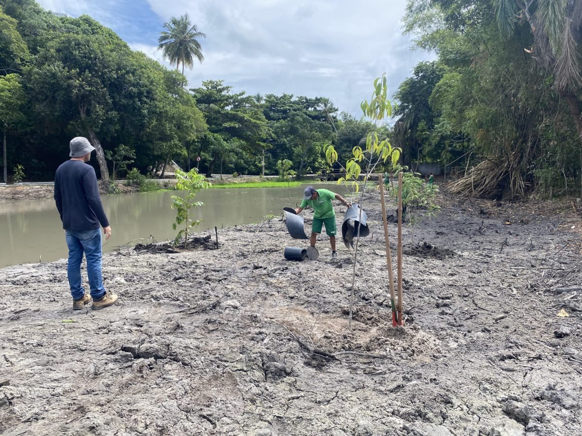 Semam realiza recomposição da vegetação da mata ciliar do Rio Cabelo