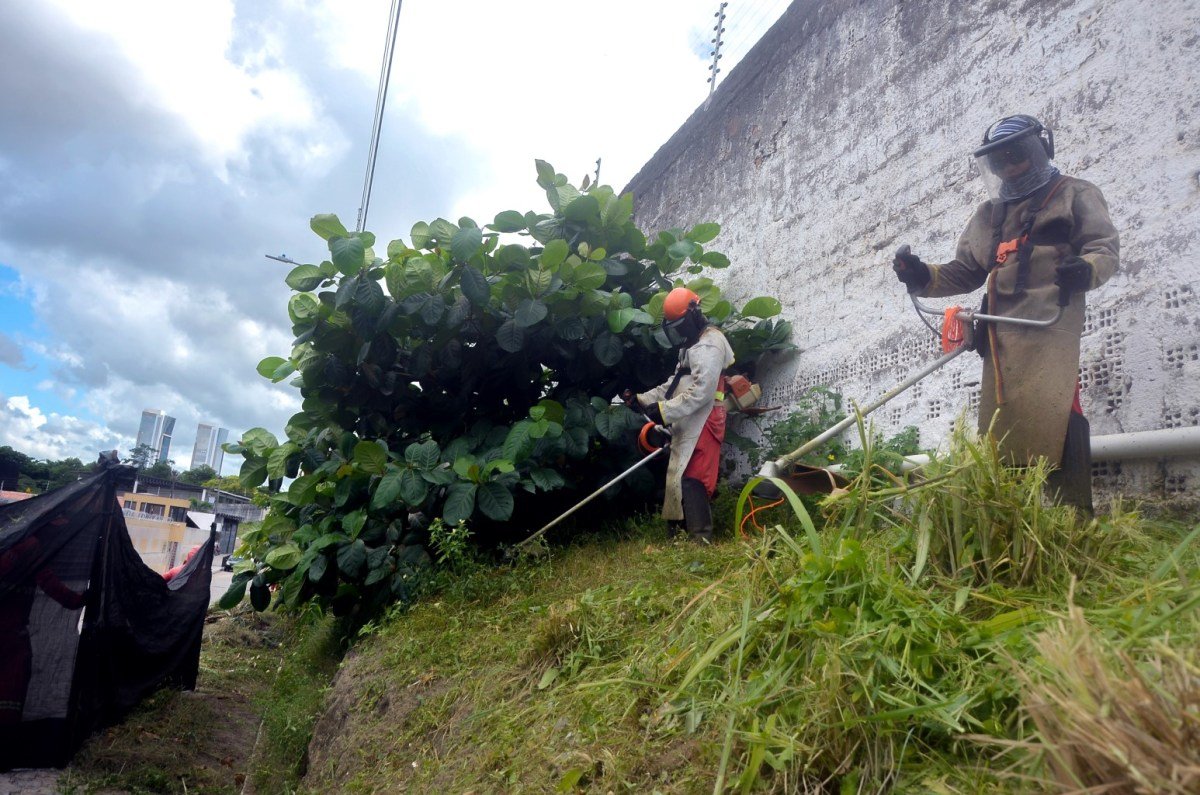 Agentes da Emlur realizam serviços de roçagem e capinação em 12 bairros