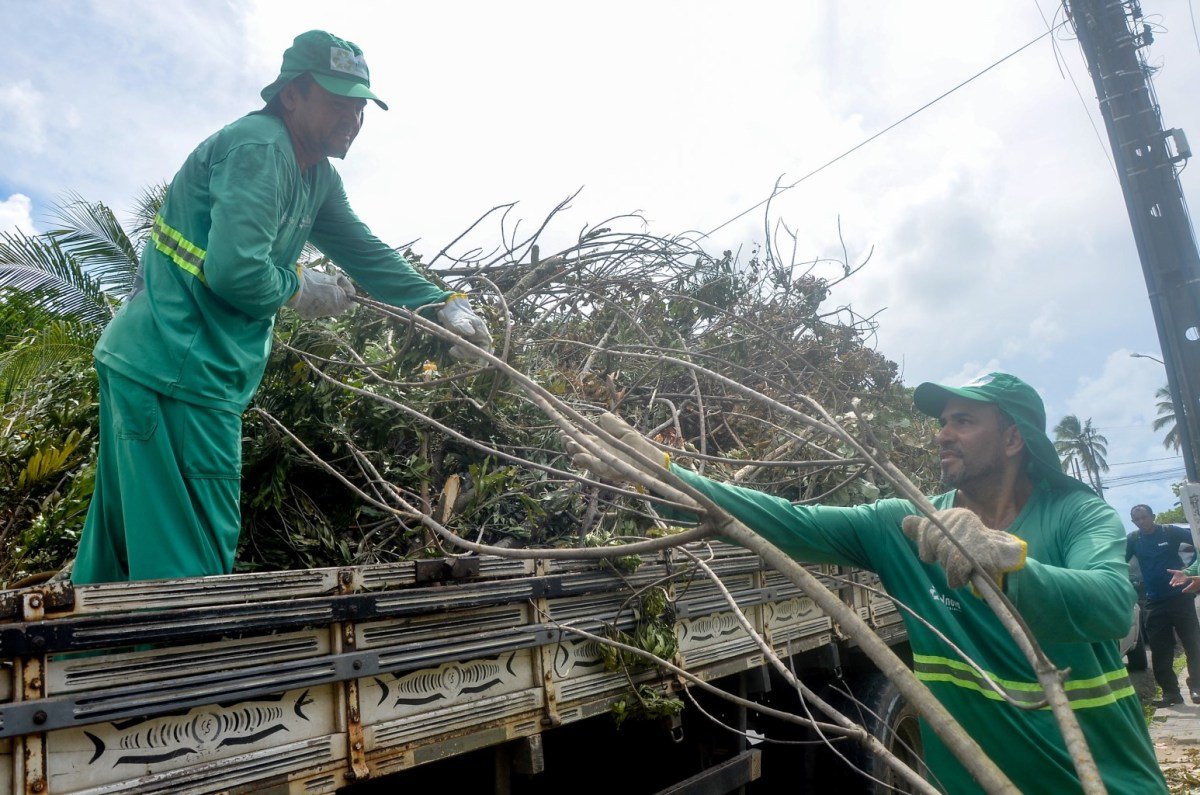 Agentes da Emlur recolhem resíduos de poda de árvores em 18 bairros