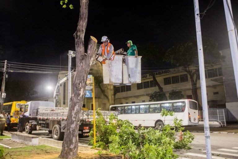 Prefeitura de João Pessoa realiza ação preventiva com poda de árvores para enfrentar período chuvoso