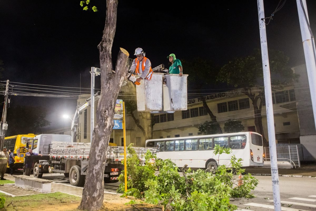 Prefeitura de João Pessoa realiza ação preventiva com poda de árvores para enfrentar período chuvoso