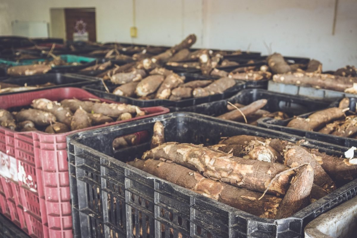 Prefeitura publica edital para seleção de agricultores familiares para o Banco de Alimentos