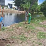 Técnicos da Semam plantam mudas de árvores na mata ciliar do Rio Jaguaribe