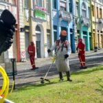 Agentes da Emlur realizam serviços de roço, capinação e pintura de meio-fio nesta terça-feira