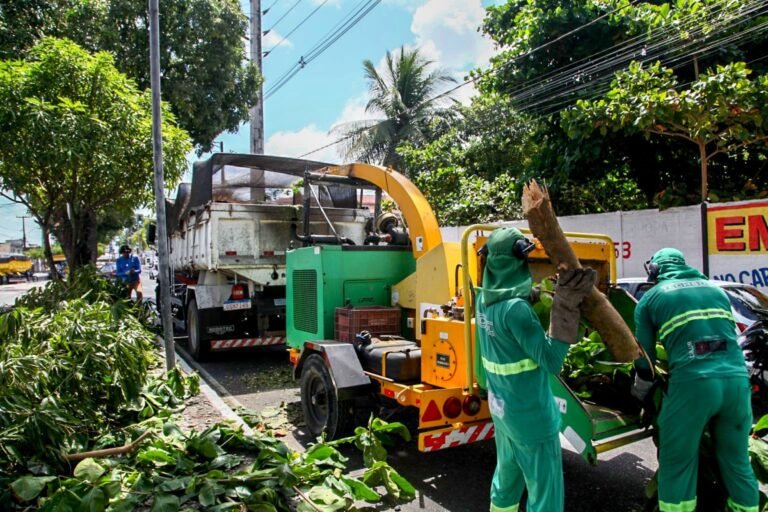 Agentes da Emlur recolhem resíduos de poda de árvores em 21 bairros