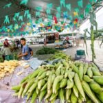 Comerciantes festejam vendas no Festival do Milho da Cecaf e consumidores elogiam qualidade e preços