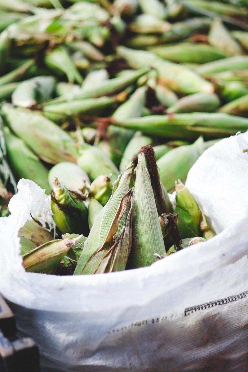 Famílias em vulnerabilidade social de João Pessoa recebem milho verde para garantir tradição junina