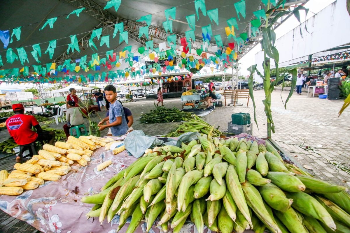 Festival de Milho da Cecaf movimentou R$ 584 mil com a venda de milho, comidas típicas e artesanato