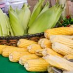 Festival do Milho da Cecaf é opção de produtos de qualidade e preços acessíveis