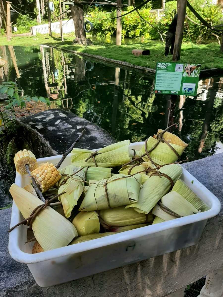 Parque Arruda Câmara promove atividade de enriquecimento alimentar com o tema do São João