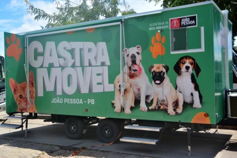 Prefeitura de João Pessoa abre 500 vagas para castração de animais