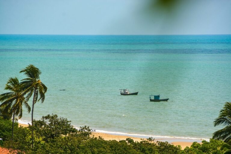 Prefeitura de João Pessoa lança três editais para projetos ambientais