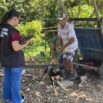 Prefeitura intensifica fiscalização contra maus-tratos animais e apura mais de 400 denúncias