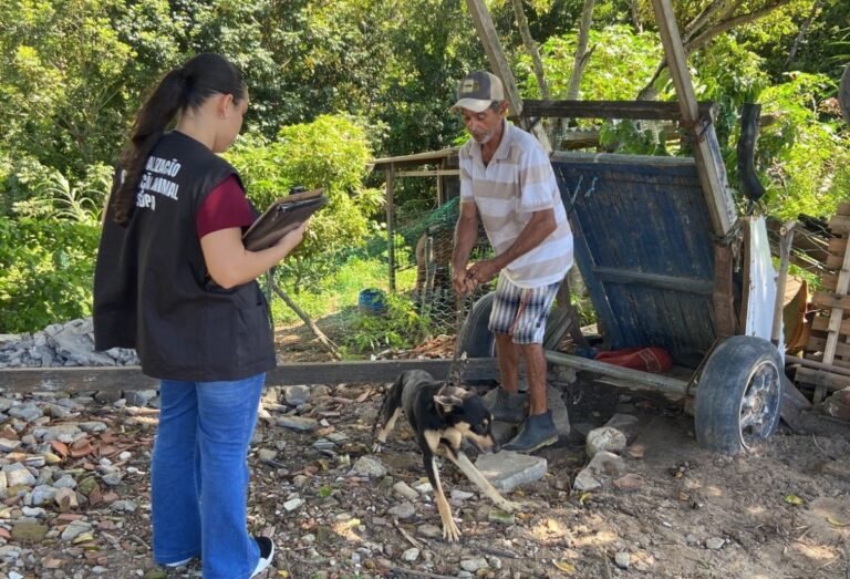Prefeitura intensifica fiscalização contra maus-tratos animais e apura mais de 400 denúncias