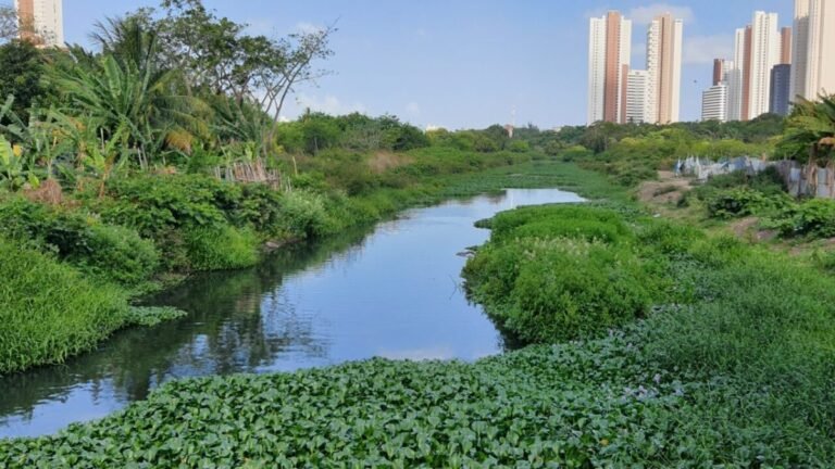 Prefeitura investe na recuperação do Rio Jaguaribe com estudos inéditos e participação da comunidade