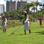 Quinze bairros recebem serviços da Emlur de roço e capinação