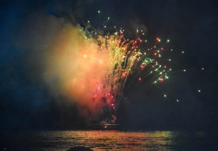 Secretaria de Cuidado e Proteção Animal reforça lei que proíbe fogos com estampido