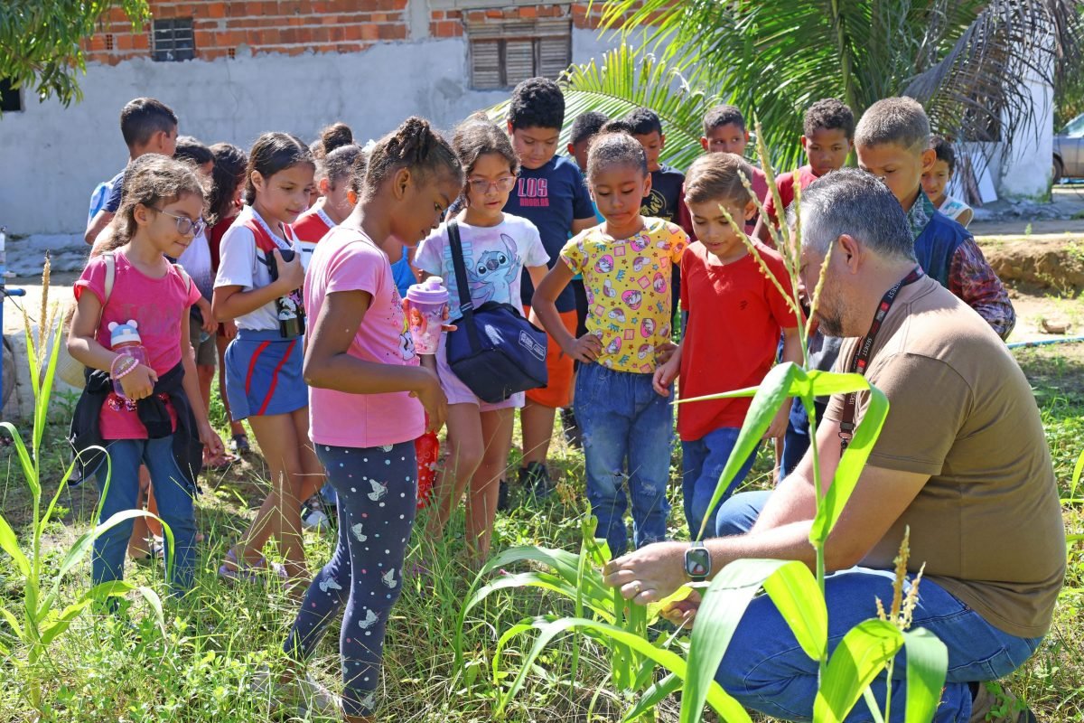 Sedest leva crianças ao campo para conhecer processo de produção de alimentos agroecológicos