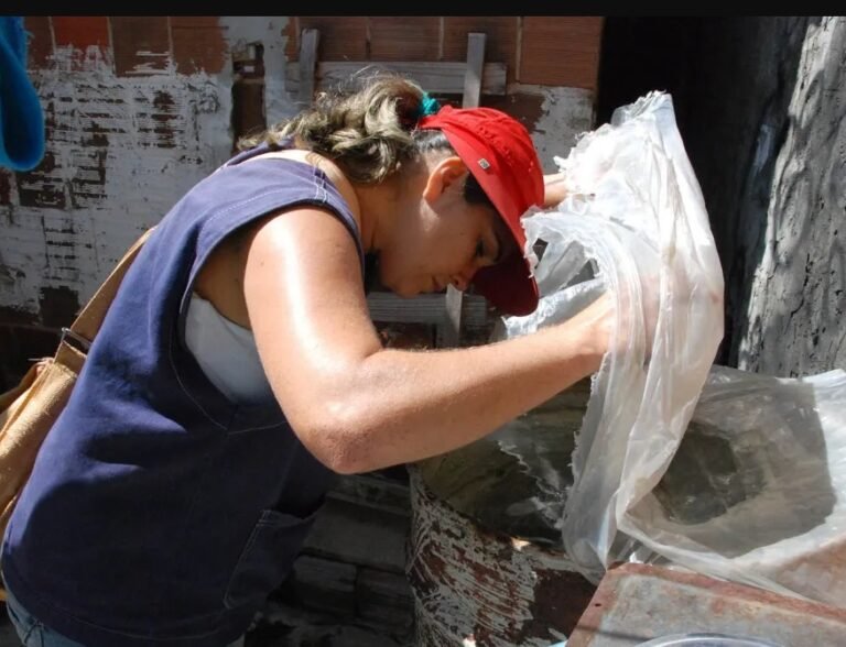 Vigilância Epidemiológica faz alerta à população sobre os riscos do mosquito Aedes Aegypti