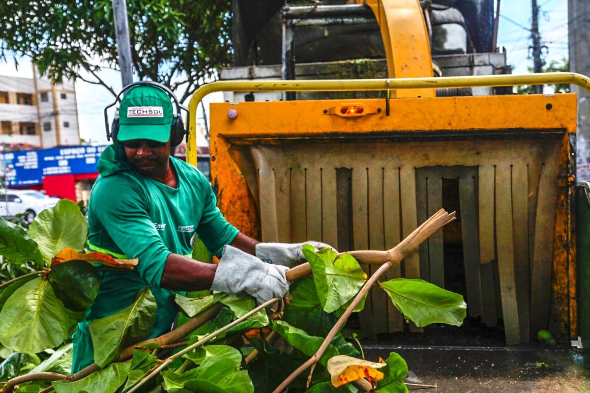 Agentes da Emlur coletam resíduos de poda de árvores em 20 bairros