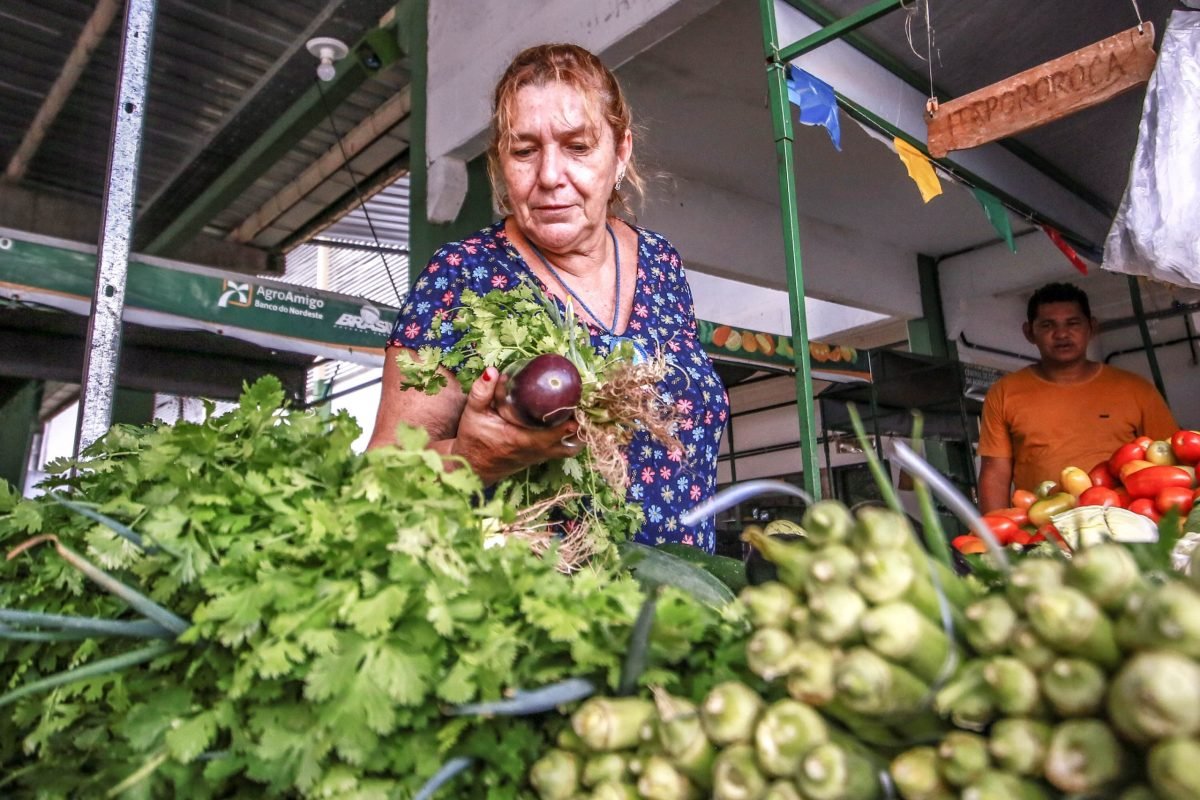 Cecaf comemora 10 anos de funcionamento e realiza Semana do Agricultor Familiar