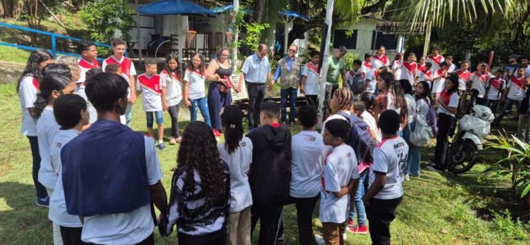 Educação ambiental marca a Semana do Manguezal com trilhas, palestras e ações de reflorestamento