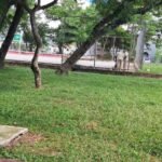 População pode acionar zeladoria da Sesuz através do aplicativo ‘João Pessoa na palma da Mão’